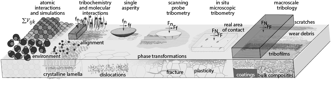 Materials Tribology: Across the lengthscales