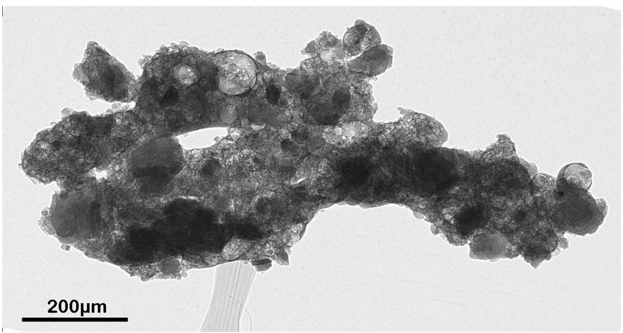 Moon Dust Micrographs